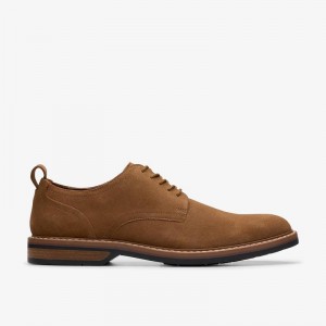 Clarks Aldwin Lace Cola Suede | CLKS-84419
