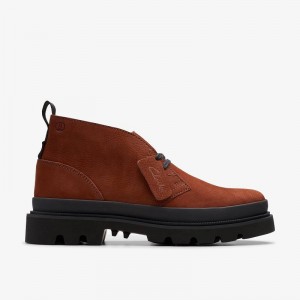 Clarks Badell Desert Boot Chestnut Nubuck | CLKS-84574