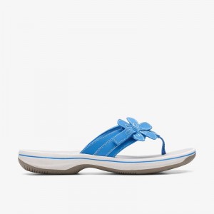 Clarks Brinkley Flora Blue | CLKS-84957