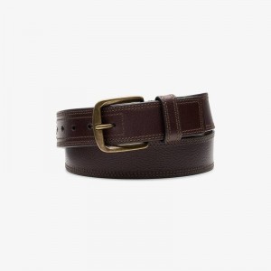 Clarks Casual Belt Brown | CLKS-84199