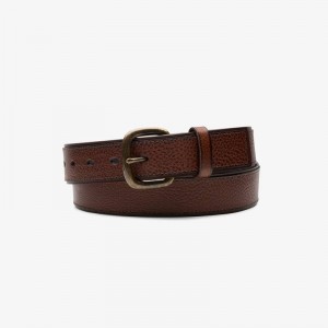Clarks Casual Belt Brown | CLKS-84203
