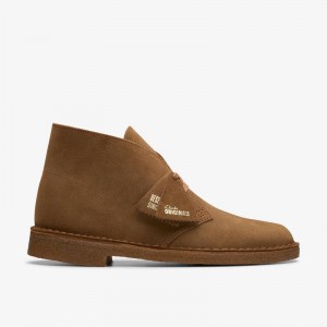 Clarks Desert Boot Cola Suede | CLKS-84471