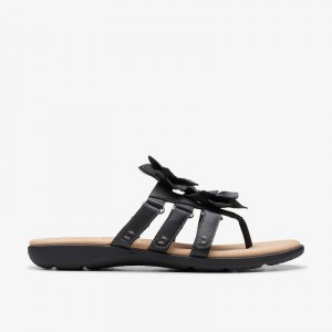 Clarks Elizabelle Mae Black Combination | CLKS-84968