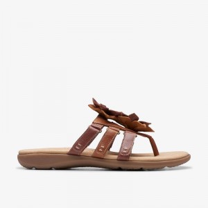 Clarks Elizabelle Mae Tan Combination | CLKS-84967