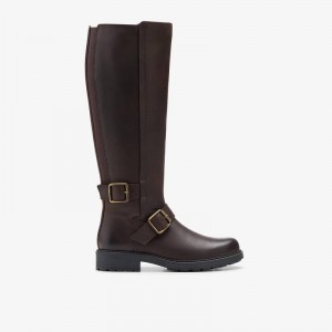 Clarks Orinoco2 Tall Dark Brown Leather | CLKS-85480