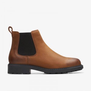 Clarks Orinoco 2 Lane Brown Snuff | CLKS-85572