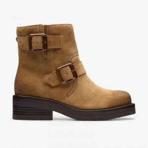 Clarks Rebelle Buckle Walnut Suede | CLKS-85517