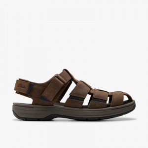 Clarks Saltway Cove Dark Brown Leather | CLKS-84217