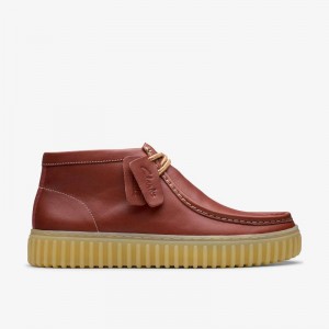 Clarks Torhill Hi Brown Leather | CLKS-84575