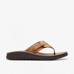 Clarks WESLEY SUN Tan Leather | CLKS-84215