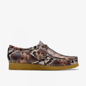 Clarks Wallabee Brown Snake Print | CLKS-84512